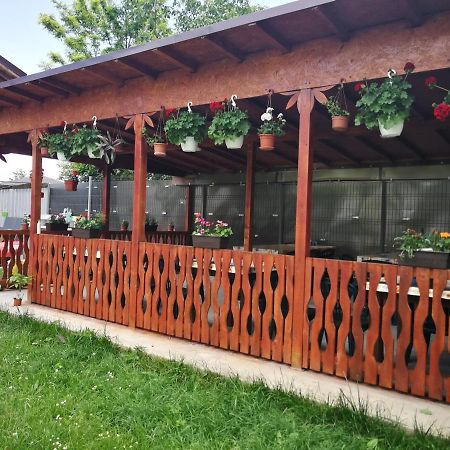 Hotel Vila Baciu Tuzla Exteriér fotografie