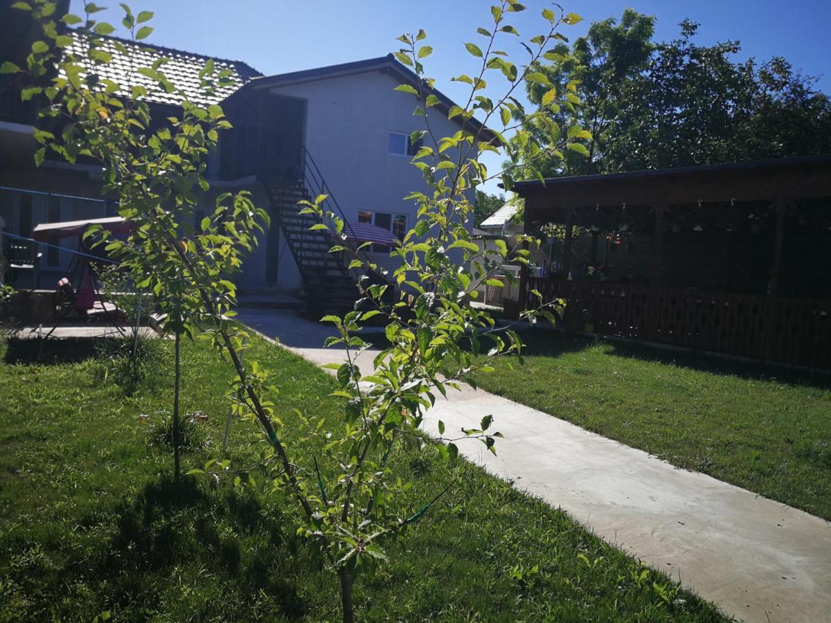 Hotel Vila Baciu Tuzla Exteriér fotografie