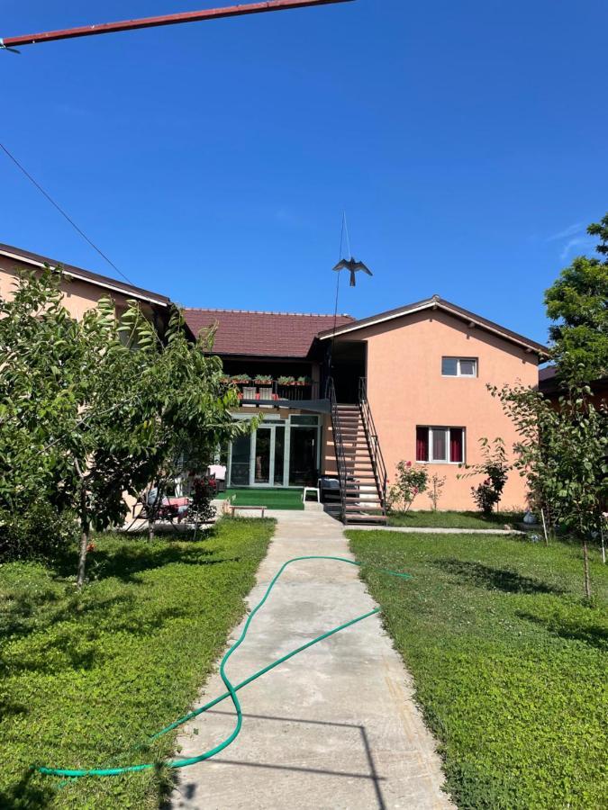 Hotel Vila Baciu Tuzla Exteriér fotografie